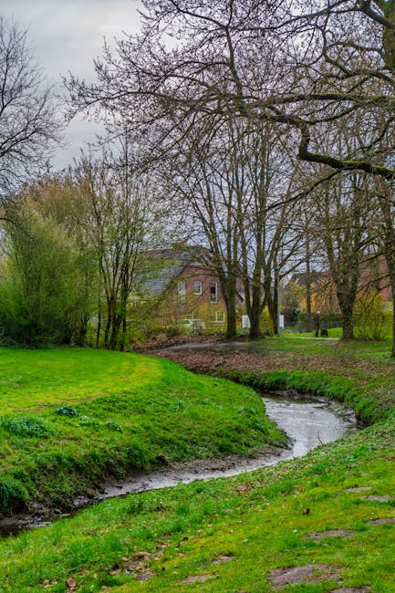 A tranquil riverside scene showing a narrow, winding stream flowing through a grassy area with patches of bare earth. Tall, leafless and budding trees line the riverbank, with some trees displaying early spring foliage. In the background, residential houses are partially visible through the trees, with autumn and early spring colours. The sky is overcast, providing diffuse natural light across the landscape. This setting, captured as part of a home relocation and packing process, highlights the outdoor environment near Barking Creek, relevant for planning access and parking for [COMPANY_NAME] when performing furniture transport and loading during house removals in the area.