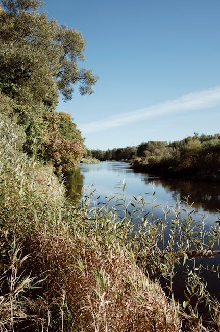 A tranquil riverside scene showing a narrow, winding stream flowing through a grassy area with patches of bare earth. Tall, leafless and budding trees line the riverbank, with some trees displaying early spring foliage. In the background, residential houses are partially visible through the trees, with autumn and early spring colours. The sky is overcast, providing diffuse natural light across the landscape. This setting, captured as part of a home relocation and packing process, highlights the outdoor environment near Barking Creek, relevant for planning access and parking for [COMPANY_NAME] when performing furniture transport and loading during house removals in the area.